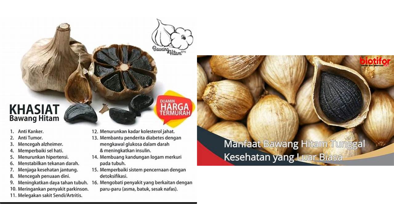 Temukan 9 Manfaat Bawang Hitam yang Wajib Kamu Intip