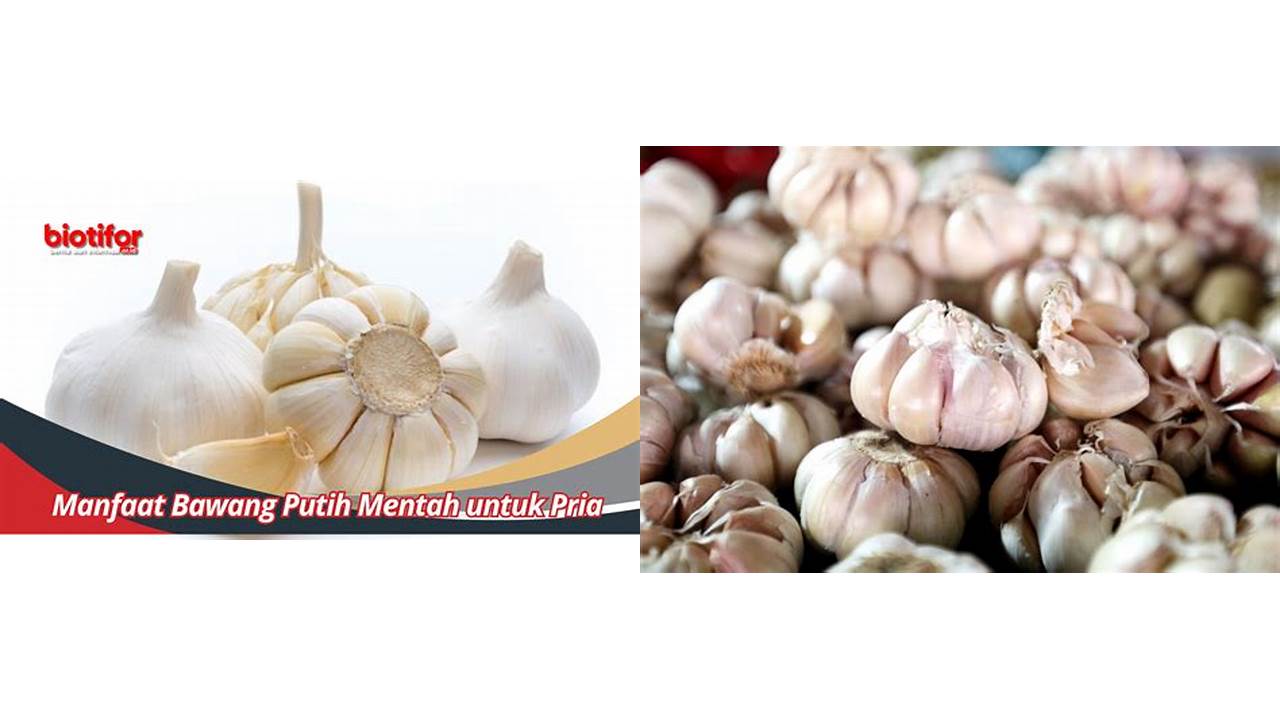 Temukan 10 Manfaat Bawang Putih untuk Pria Wajib Kamu Ketahui