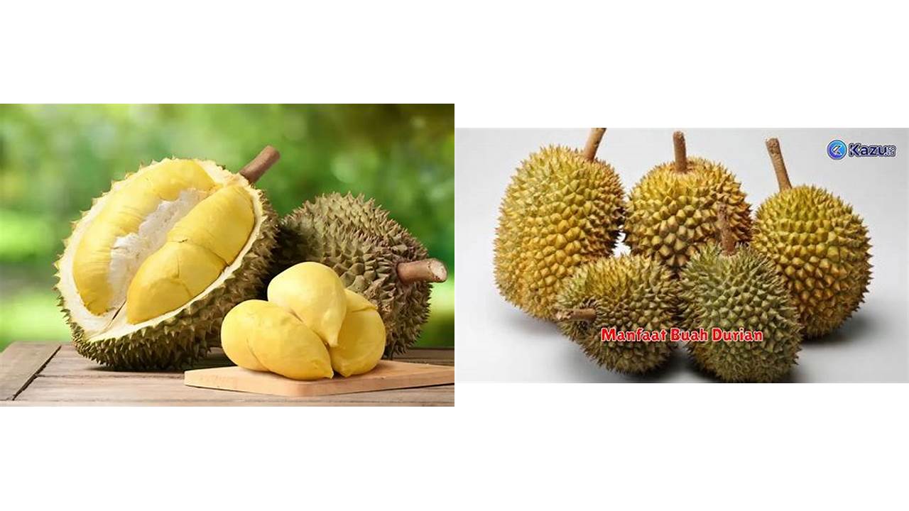 Inilah 9 Manfaat Buah Durian Bikin Kamu Penasaran