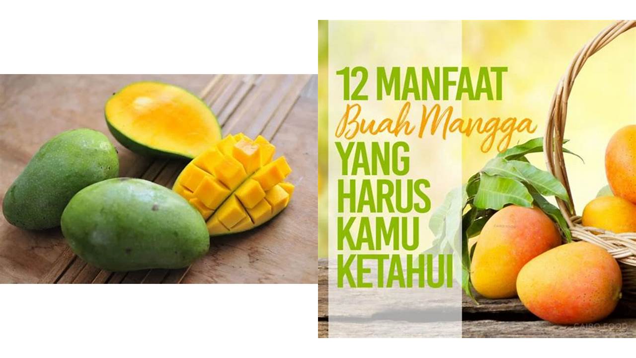 Inilah 10 Manfaat Buah Mangga Jarang Diketahui