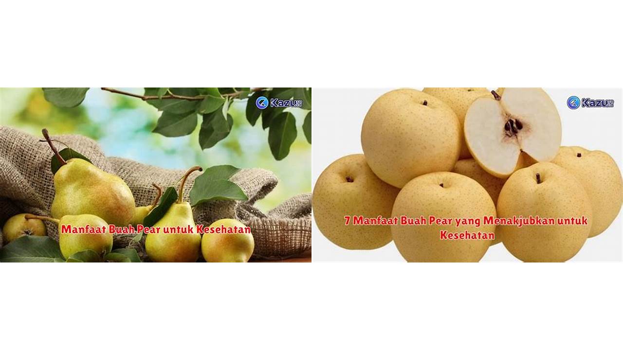 Inilah 8 Manfaat Buah Pear yang Bikin Kamu Penasaran