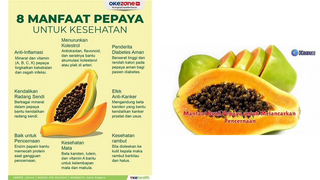 Inilah 10 Manfaat Buah Pepaya Wajib Kamu Ketahui