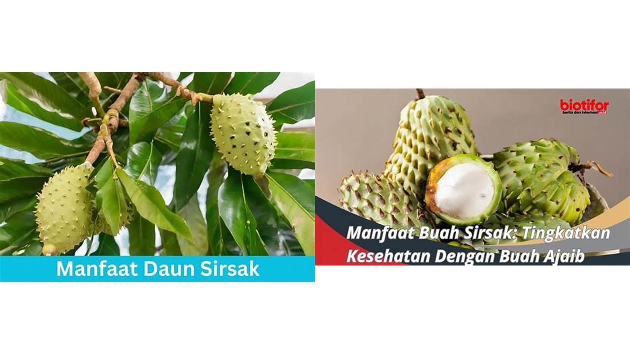 Ketahui 8 Manfaat Buah Sirsak Jarang Diketahui