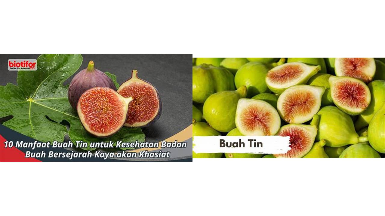 Temukan 10 Manfaat Buah Tin Bikin Kamu Penasaran