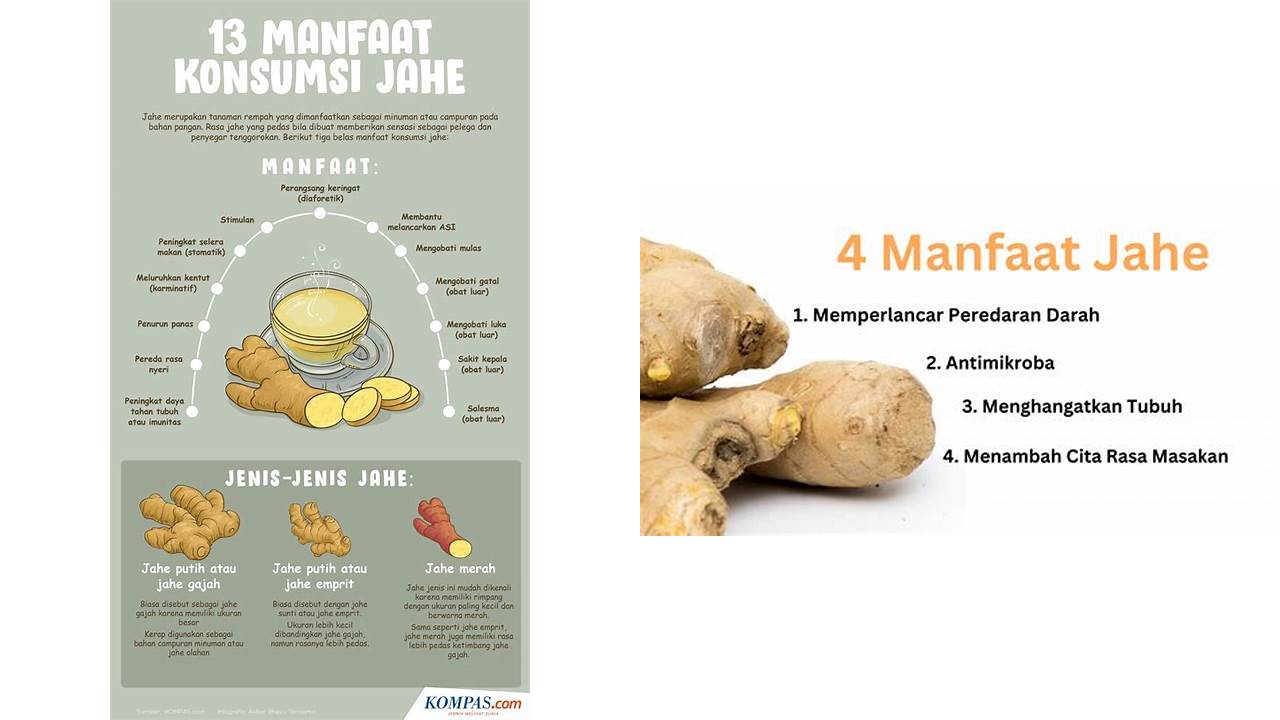 Temukan 9 Manfaat Jahe yang Wajib Kamu Intip