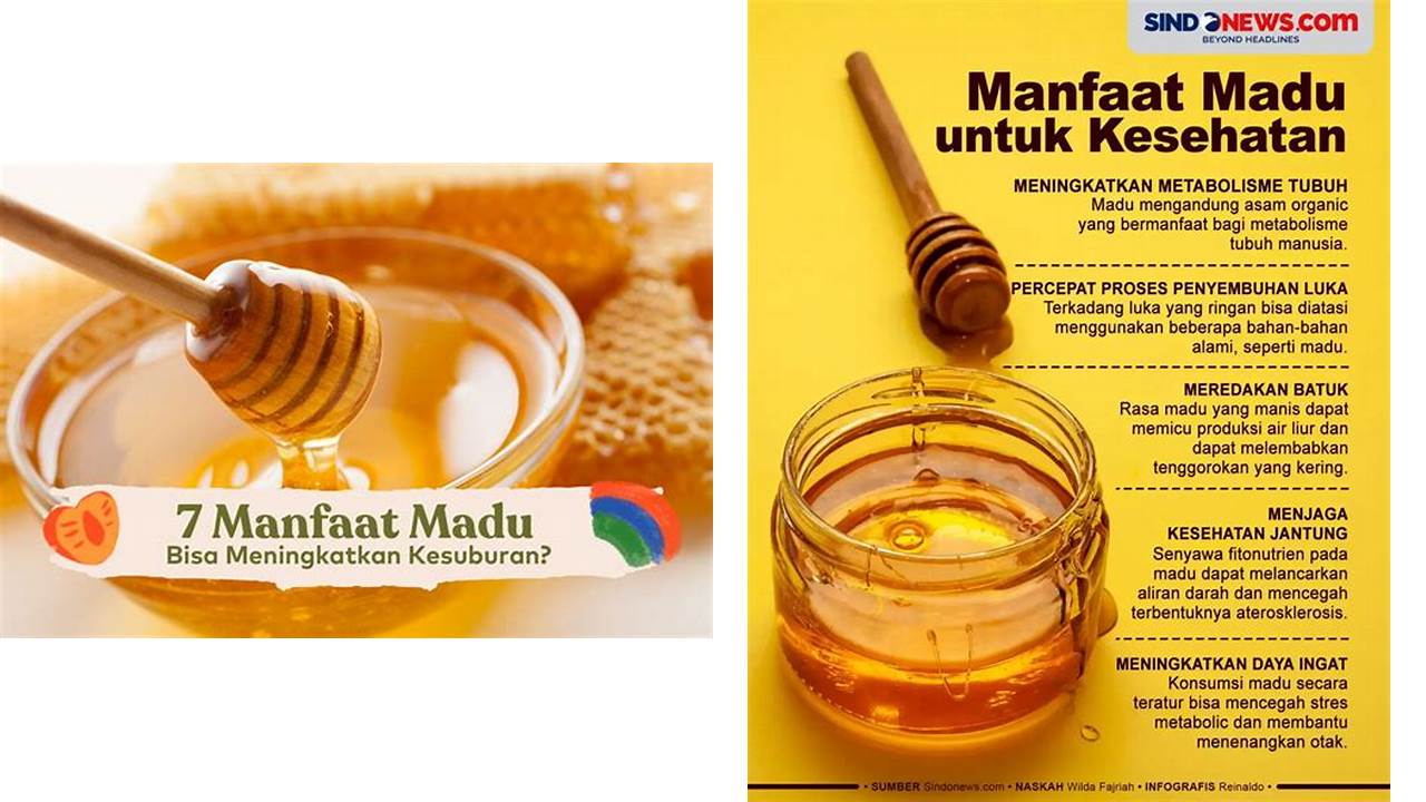 Inilah 9 Manfaat Madu Asli yang Wajib Kamu Intip