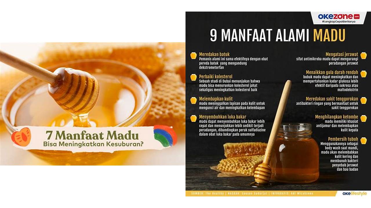 Temukan 8 Manfaat Madu Wajib Kamu Ketahui