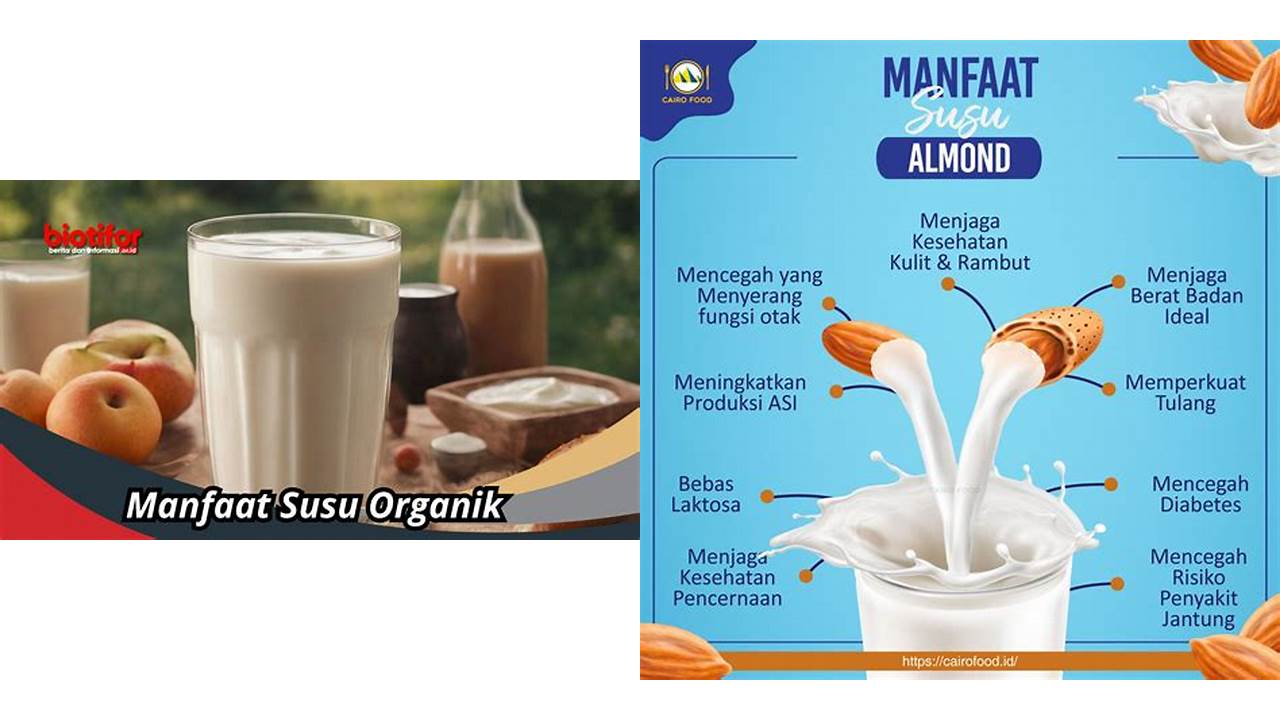 Inilah 10 Manfaat Susu Wajib Kamu Ketahui