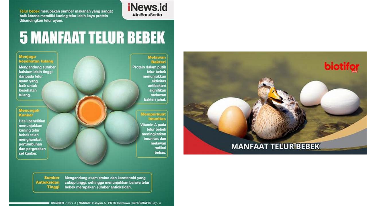 Ketahui 10 Manfaat Telur Bebek yang Tak Banyak Orang Tahu