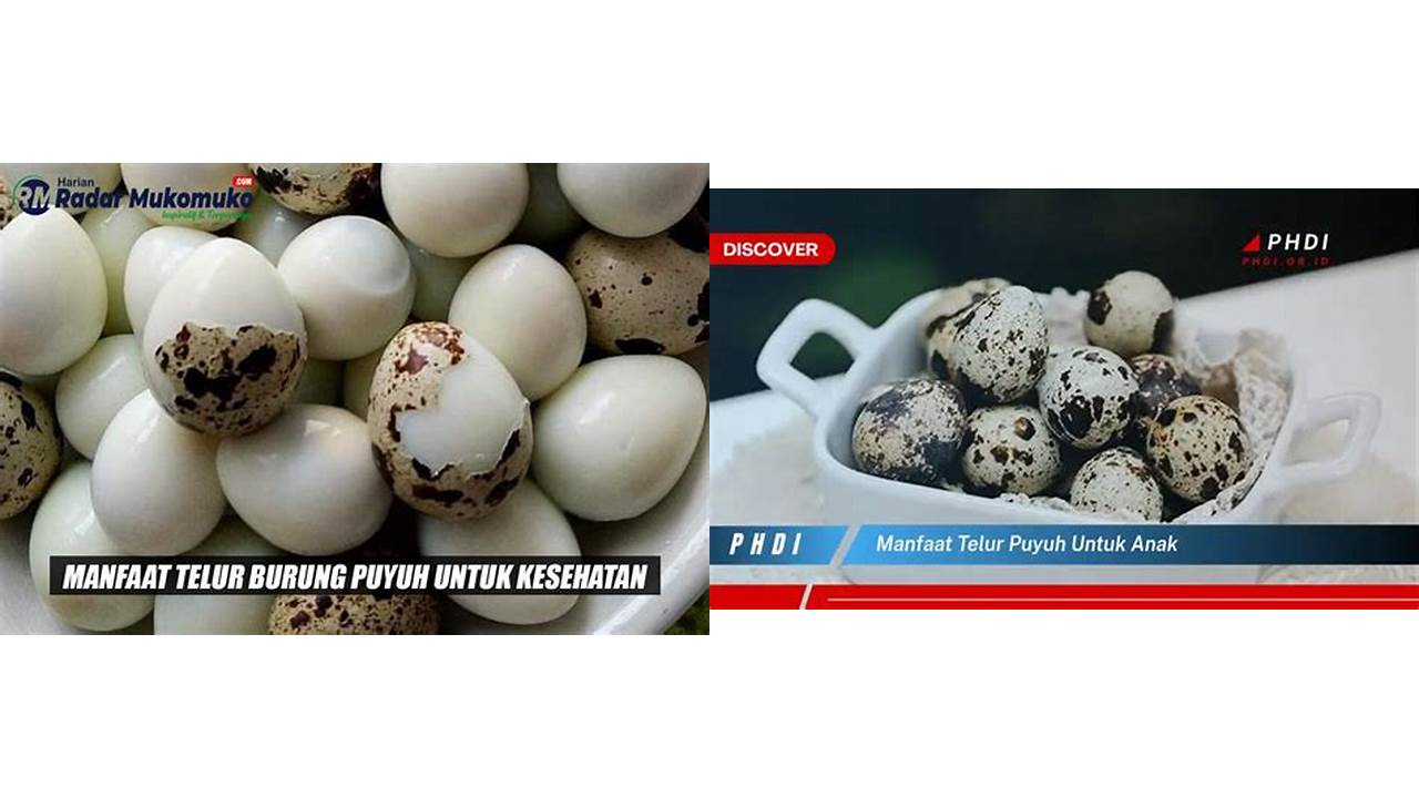 Temukan 8 Manfaat Telur Puyuh yang Jarang Diketahui