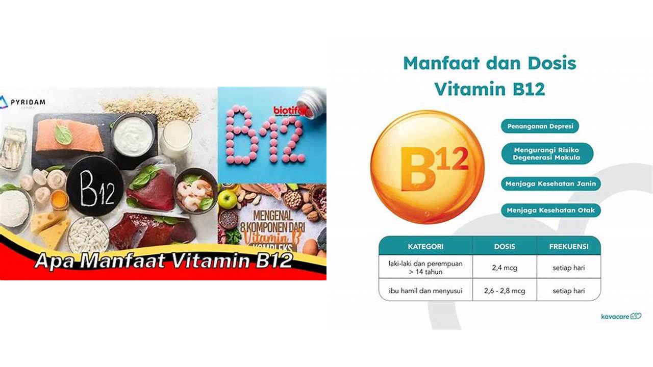 Temukan 10 Manfaat Vitamin B12 Wajib Kamu Ketahui