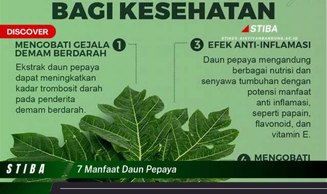 Ketahui 10 Manfaat 7 manfaat daun pepaya yang Wajib Kamu Intip