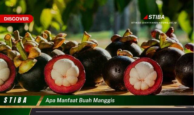 Inilah 9 Manfaat Buah Manggis yang Wajib Kamu Ketahui