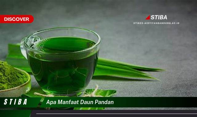 Temukan 10 Manfaat apa manfaat daun pandan yang Wajib Kamu Intip