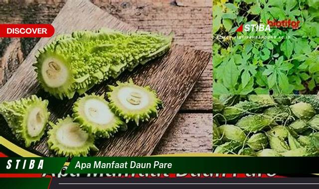 Temukan 9 Manfaat apa manfaat daun pare yang tidak Semua Orang Tau