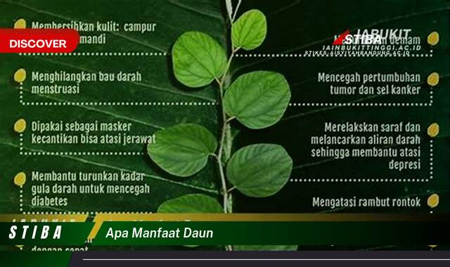 Inilah 9 Manfaat apa manfaat daun yang tidak Semua Orang Tau