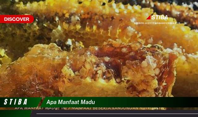 Ketahui 10 Manfaat Madu yang Tak Semua Orang Tahu