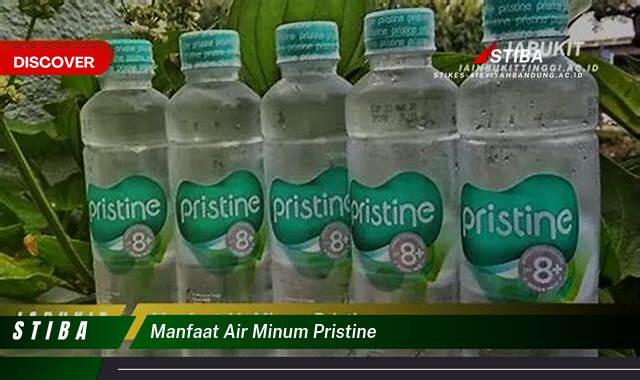 Temukan 8 Manfaat Air Minum Pristine yang Jarang Diketahui