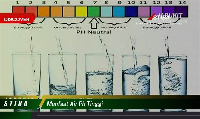 Inilah 10 Manfaat Air pH Tinggi yang Bikin Kamu Penasaran Inilah 10 Manfaat Air pH Tinggi yang Bikin Kamu Penasaran