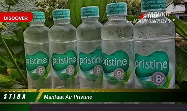 Temukan 9 Manfaat Air Pristine yang Tidak Semua Orang Tau