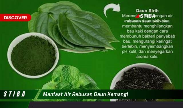 Ketahui 9 Manfaat manfaat air rebusan daun kemangi yang Wajib kamu ketahui