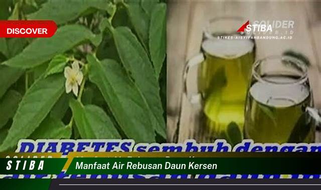 Inilah 9 Manfaat manfaat air rebusan daun kersen yang Bikin Kamu Penasaran