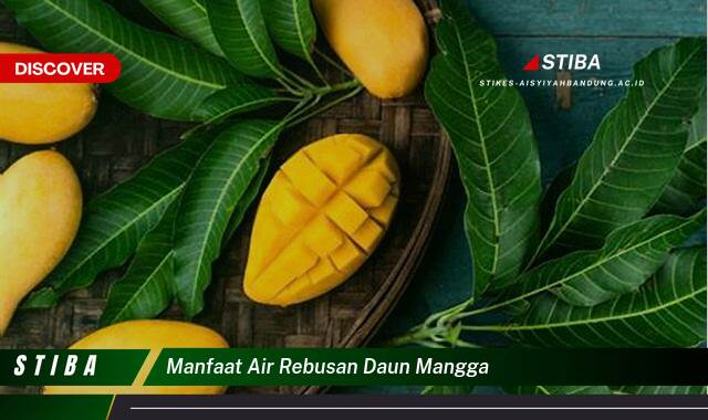 Ketahui 10 Manfaat manfaat air rebusan daun mangga yang tidak Semua Orang Tau