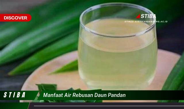 Temukan 10 Manfaat manfaat air rebusan daun pandan yang Wajib Kamu Intip