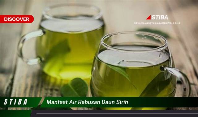 Ketahui 8 Manfaat Air Rebusan Daun Sirih yang Tak Banyak Orang Tau