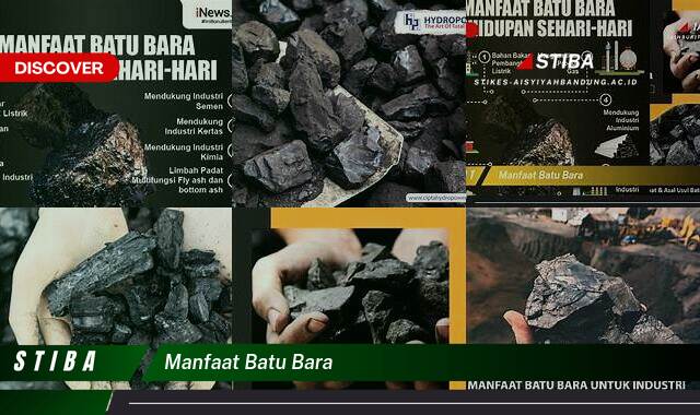 Temukan 8 Manfaat Batu Bara yang Wajib Kamu Ketahui Temukan 8 Manfaat Batu Bara yang Wajib Kamu Ketahui