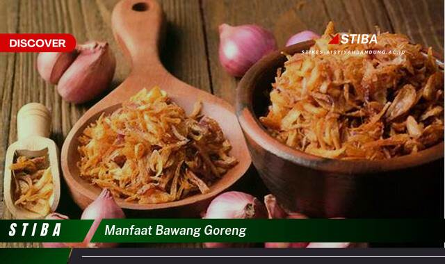 Inilah 8 Manfaat Bawang Goreng yang Tak Banyak Orang Tau