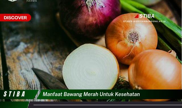 Ketahui 10 Manfaat Bawang Merah untuk Kesehatan yang Jarang Diketahui