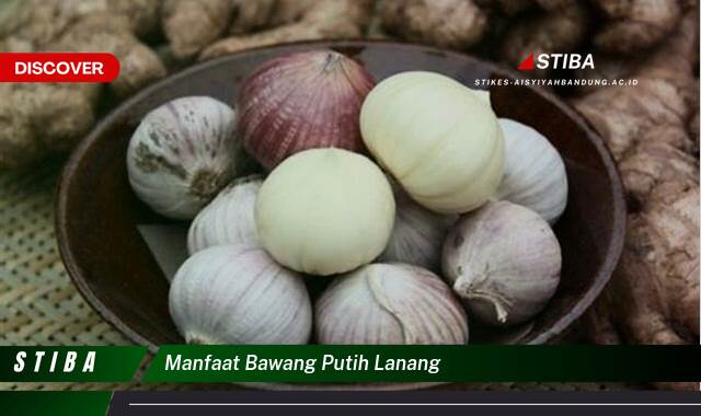 Inilah 8 Manfaat Bawang Putih Lanang yang Jarang Diketahui