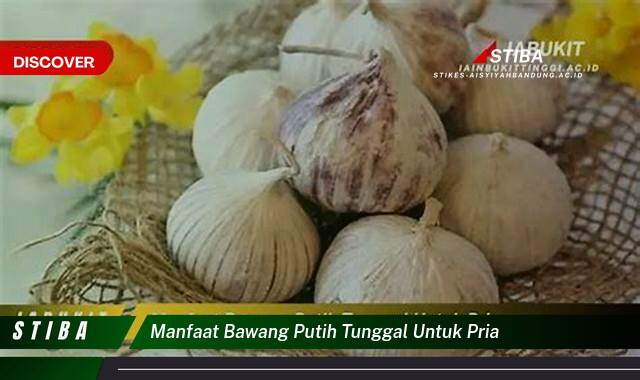 Inilah 9 Manfaat Bawang Putih Tunggal untuk Pria yang Jarang Diketahui