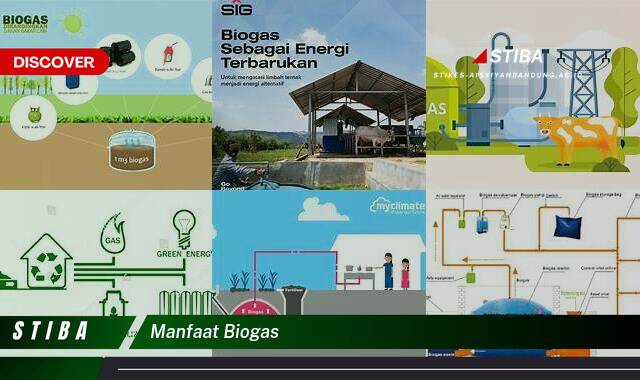 Temukan 9 Manfaat Biogas yang Bikin Kamu Penasaran Temukan 9 Manfaat Biogas yang Bikin Kamu Penasaran