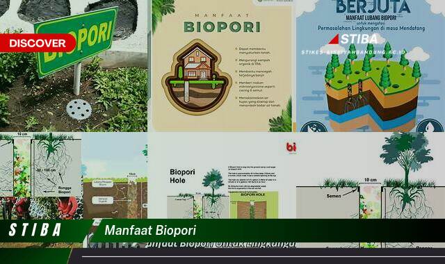 Ketahui 9 Manfaat Biopori yang Wajib Kamu Intip