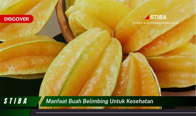 Inilah 9 Manfaat Buah Belimbing untuk Kesehatan yang Wajib Kamu Ketahui