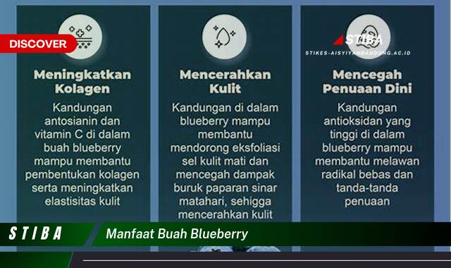 Temukan 9 Manfaat Buah Blueberry yang Tak Semua Orang Tahu