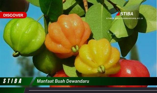 Ketahui 10 Manfaat Buah Dewandaru yang Bikin Kamu Penasaran