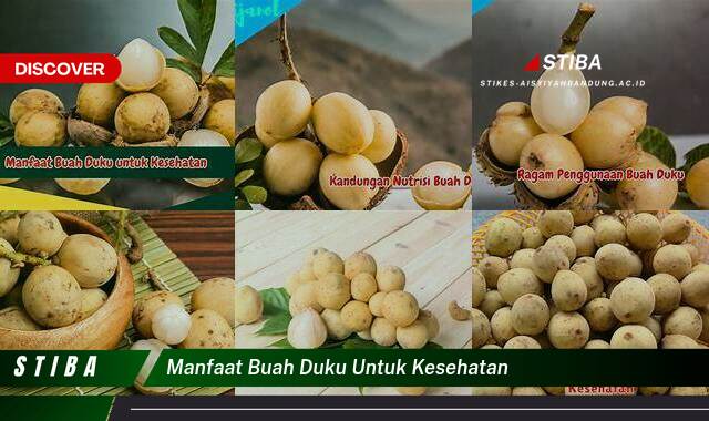 Inilah 9 Manfaat Buah Duku untuk Kesehatan yang Wajib Kamu Ketahui