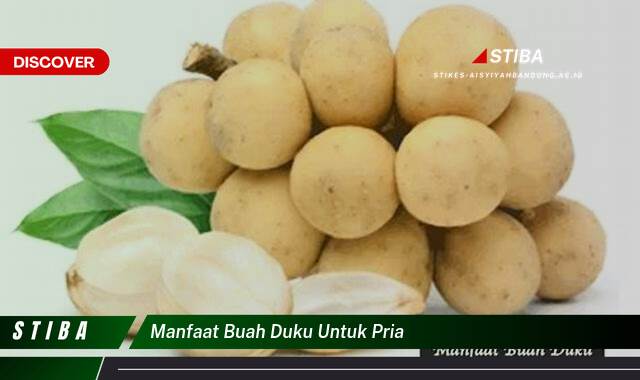 Inilah 8 Manfaat Buah Duku untuk Pria yang Tak Semua Orang Tahu