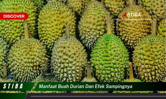 Ketahui 9 Manfaat Durian & Efek Sampingnya yang Wajib Kamu Ketahui