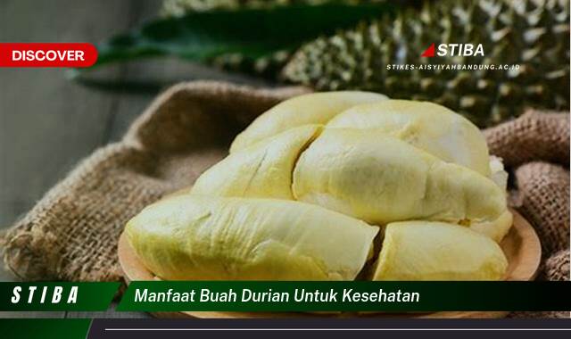 Inilah 9 Manfaat Durian untuk Kesehatan yang Jarang Diketahui