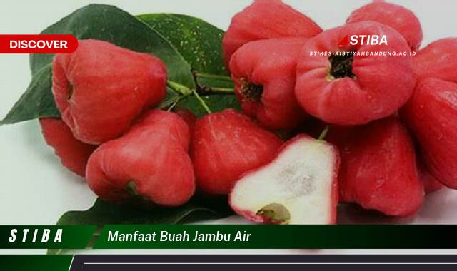 Inilah 10 Manfaat Buah Jambu Air yang Tak Disangka