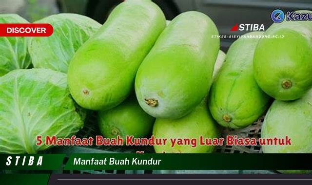 Ketahui 10 Manfaat Buah Kundur yang Tak Banyak Orang Tahu