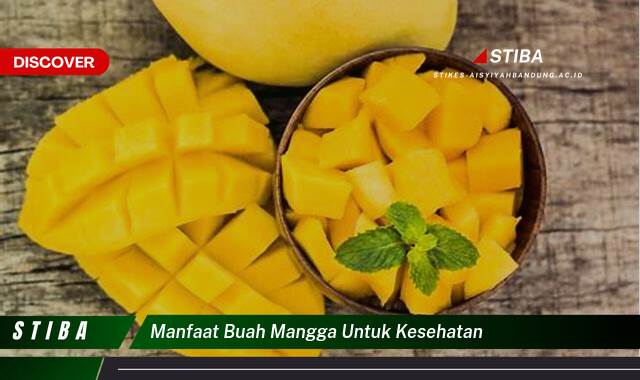 Temukan 10 Manfaat Buah Mangga untuk Kesehatan yang Bikin Kamu Penasaran