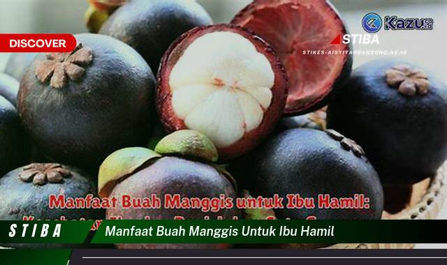 Inilah 8 Manfaat Buah Manggis untuk Ibu Hamil yang Bikin Kamu Penasaran Inilah 8 Manfaat Buah Manggis untuk Ibu Hamil yang Bikin Kamu Penasaran