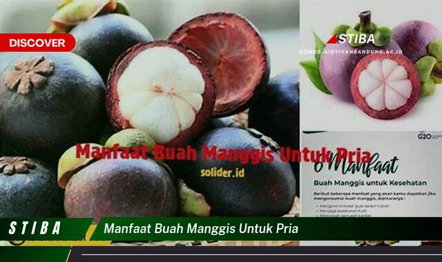 Temukan 8 Manfaat Buah Manggis untuk Pria yang Tak Semua Orang Tahu