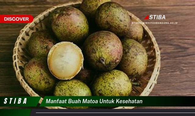 Inilah 10 Manfaat Buah Matoa untuk Kesehatan yang Jarang Diketahui