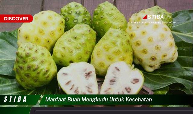 Temukan 8 Manfaat Buah Mengkudu untuk Kesehatan yang Bikin Kamu Penasaran